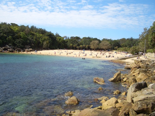 shelly_beach_manly